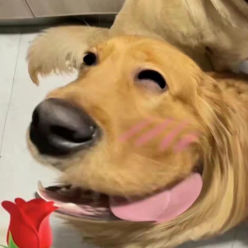 小甜小甜考试不难