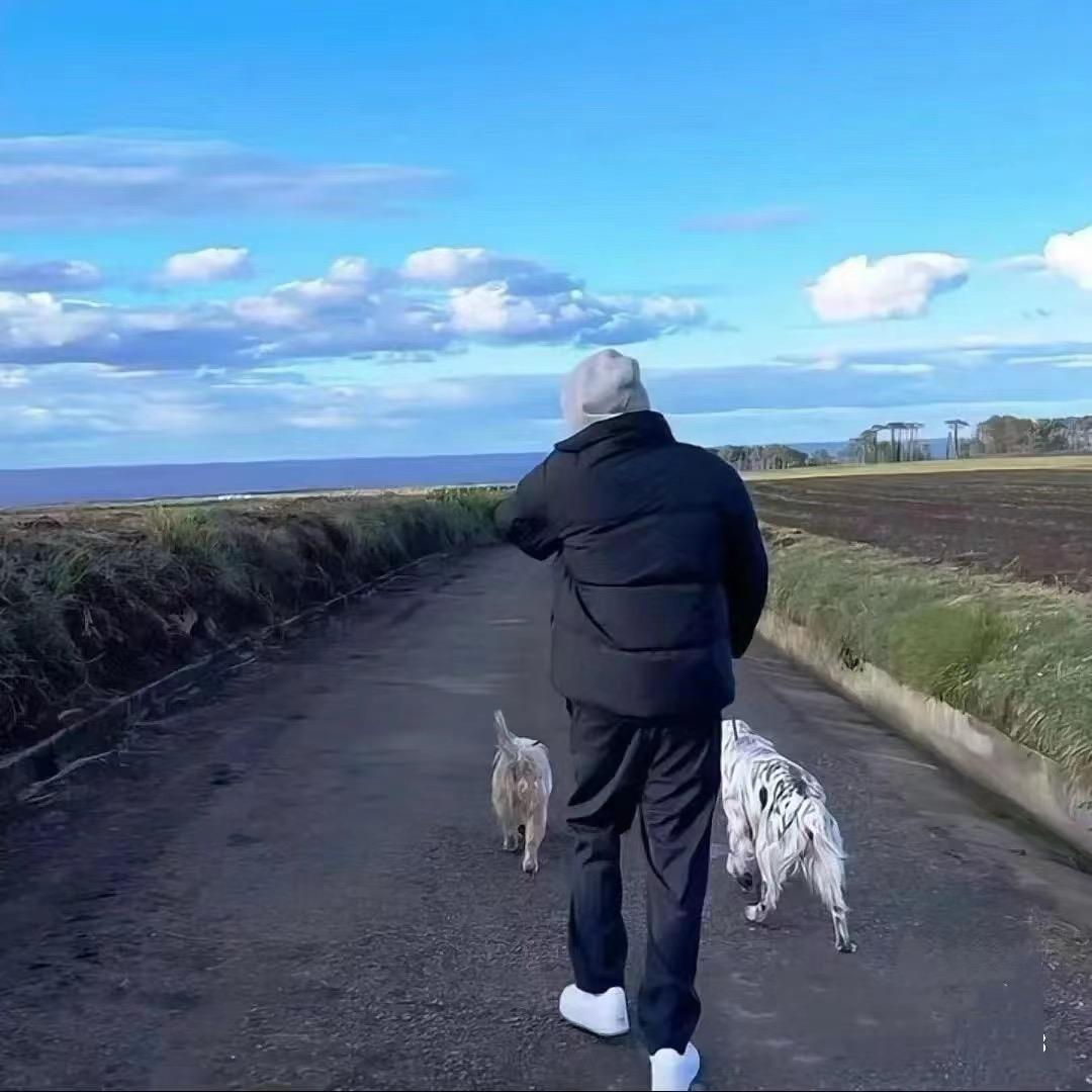 王牌吖