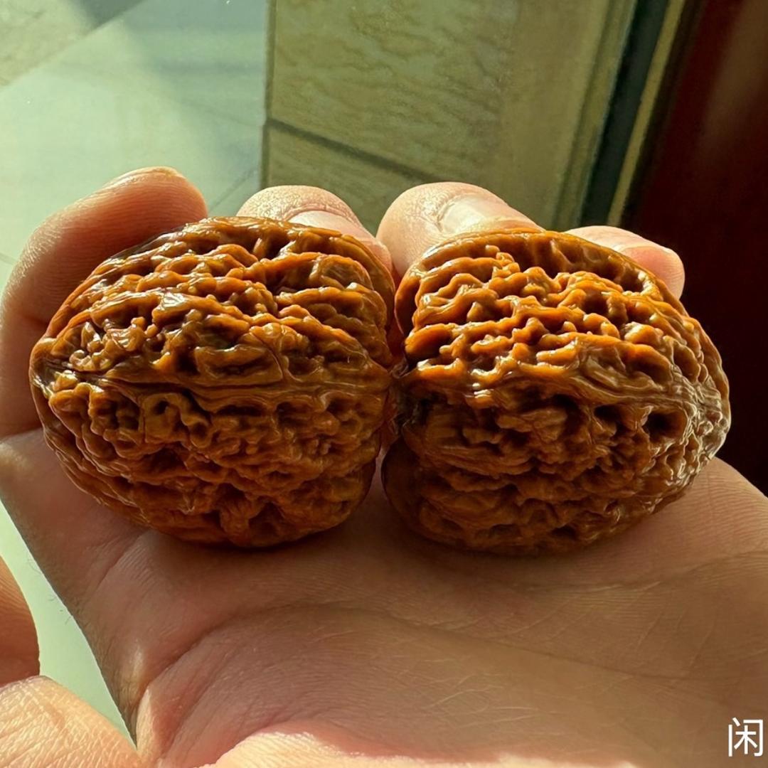 核上核