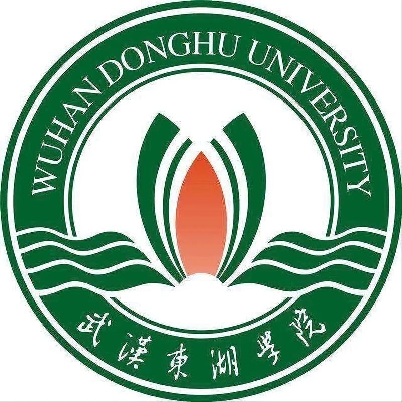 武汉东湖学院孙老师