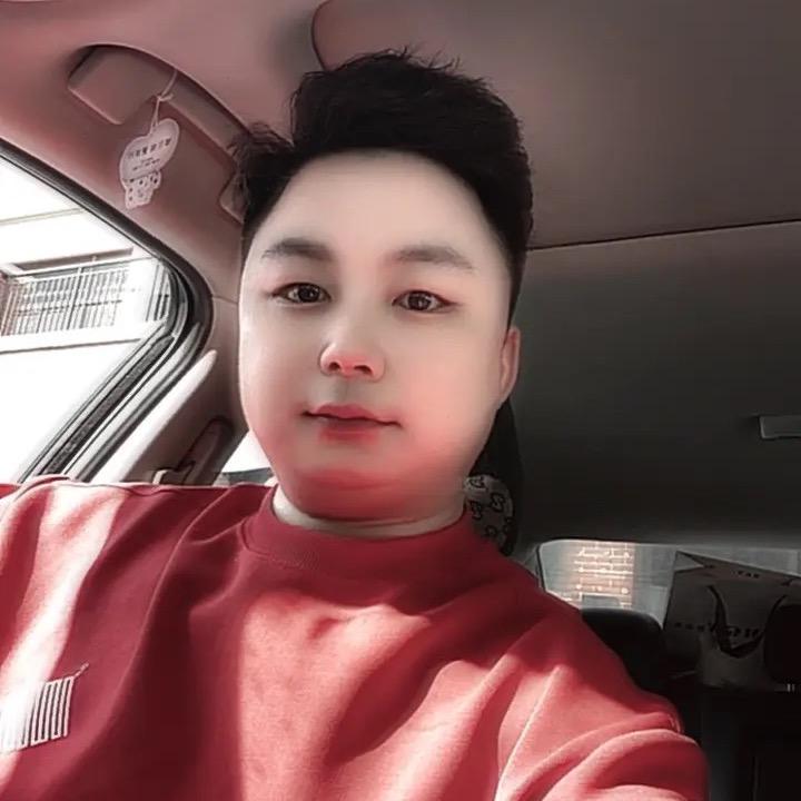 黎明四大天王宠物