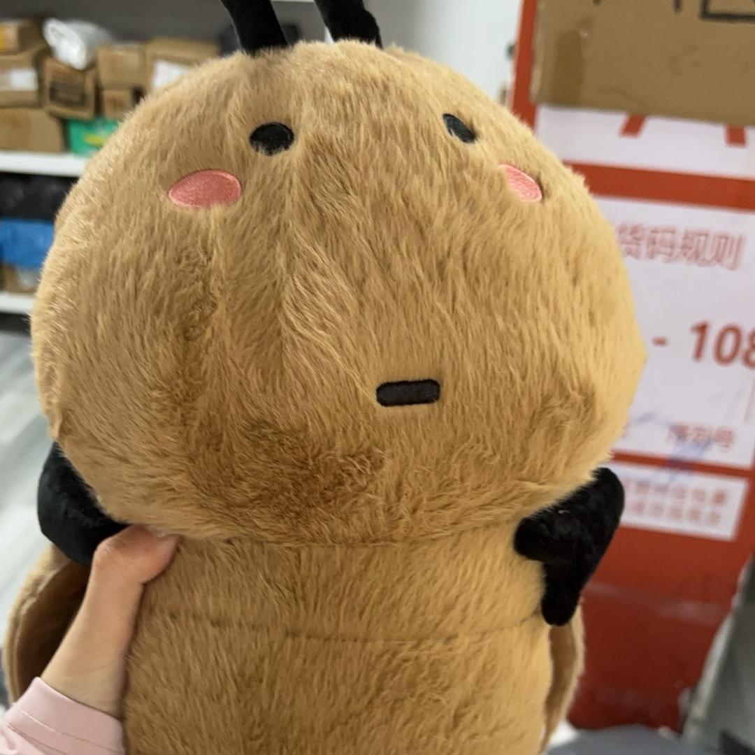 淼淼来啦