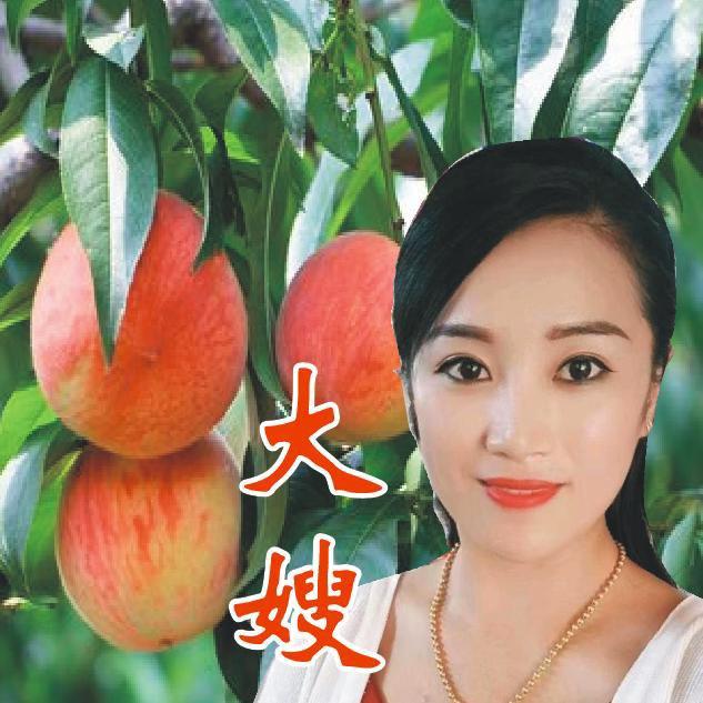 大嫂果友联盟（单良）