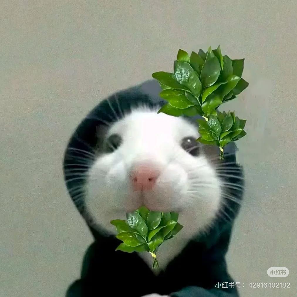 耀耀霖₍˄·͈༝·͈˄*₎◞ ̑̑