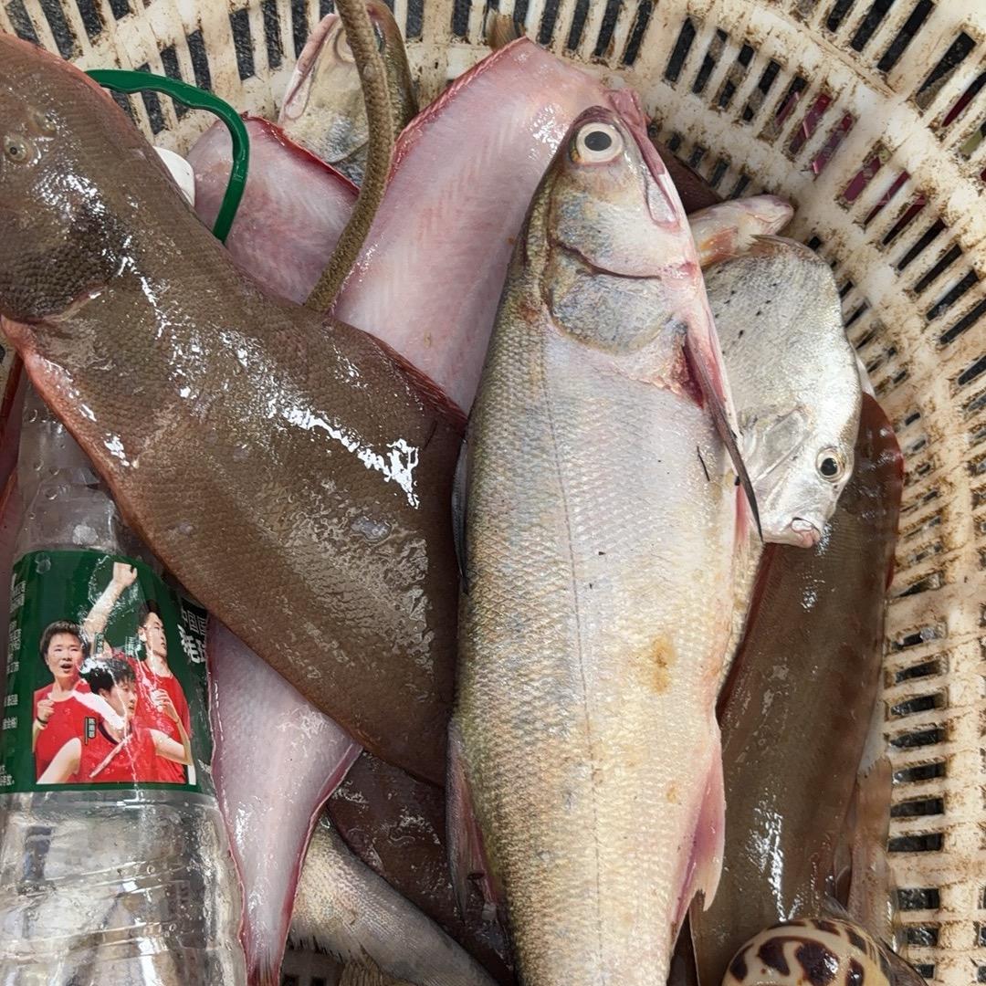 博贺码头哈妹海鲜