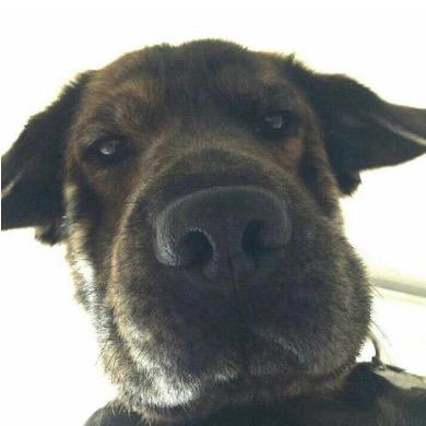 呦，姓祁的那小伙子卖车卖的真好