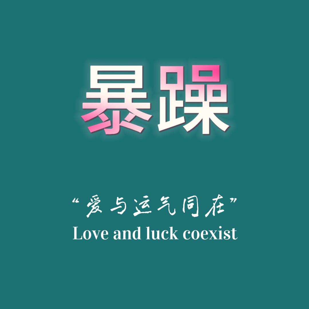 暴躁小龙哥