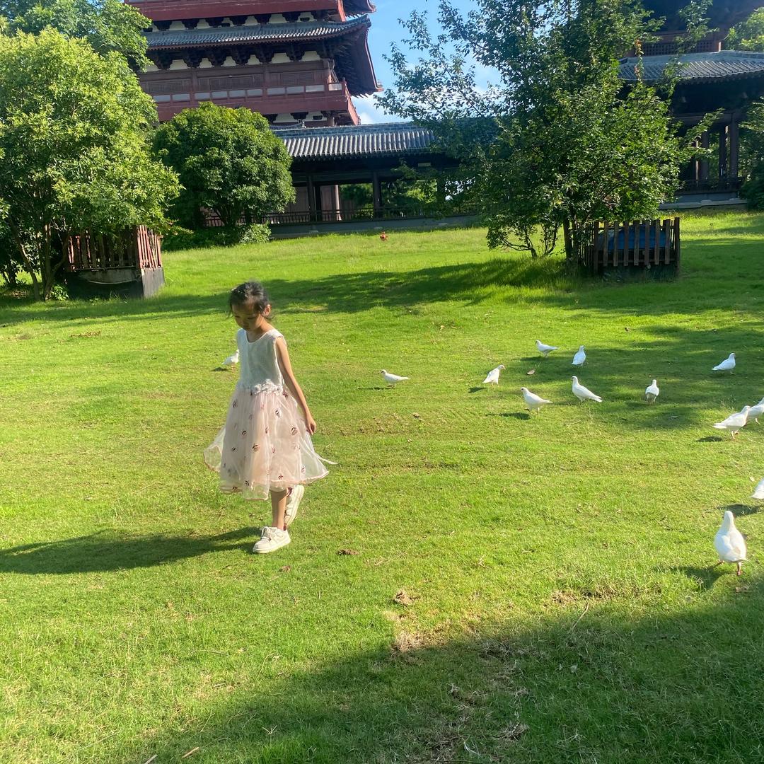 错了而以。