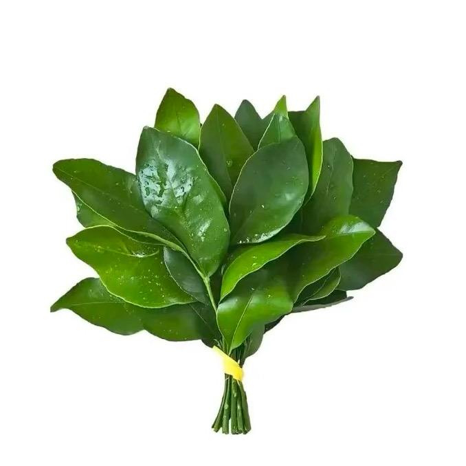 xyiii_