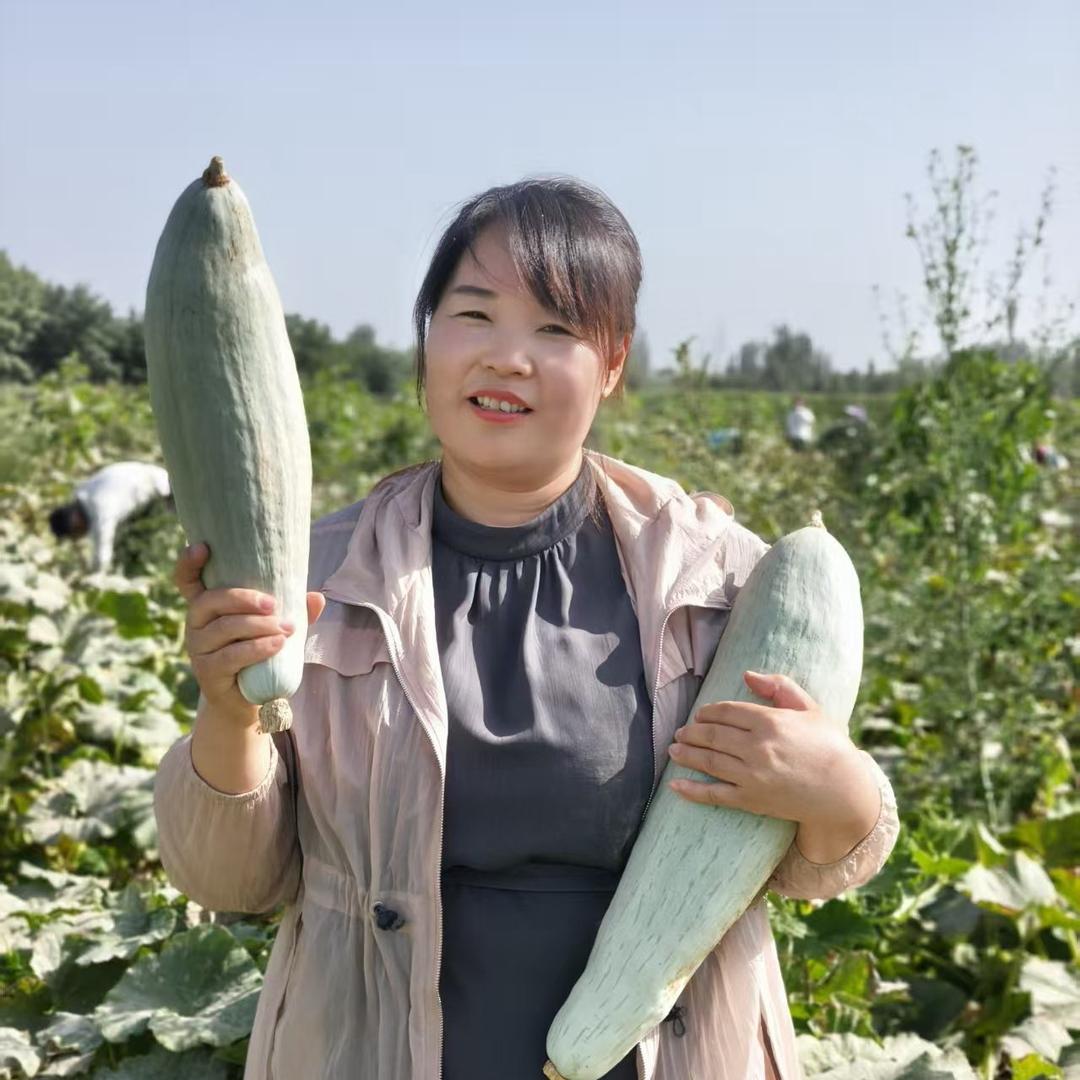 瓜农福新疆特产