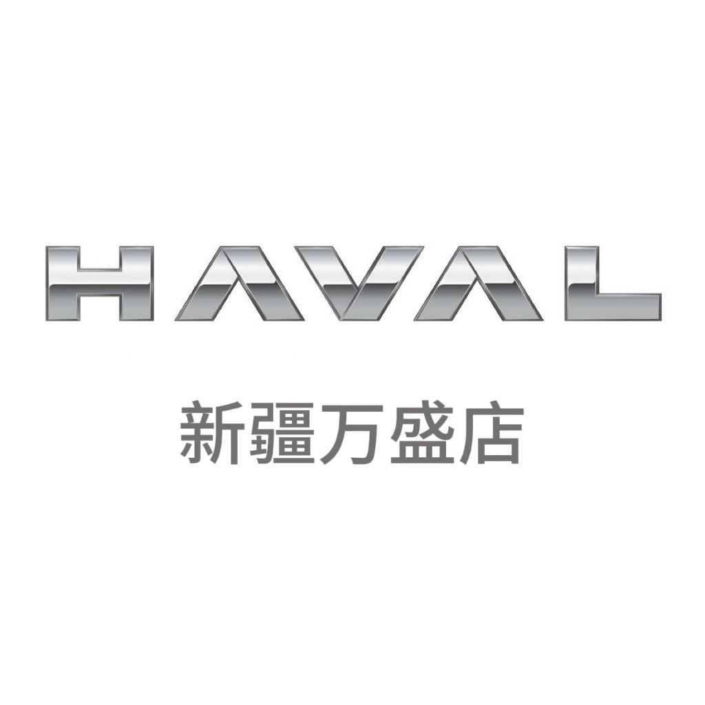 哈弗新能源新疆万盛店