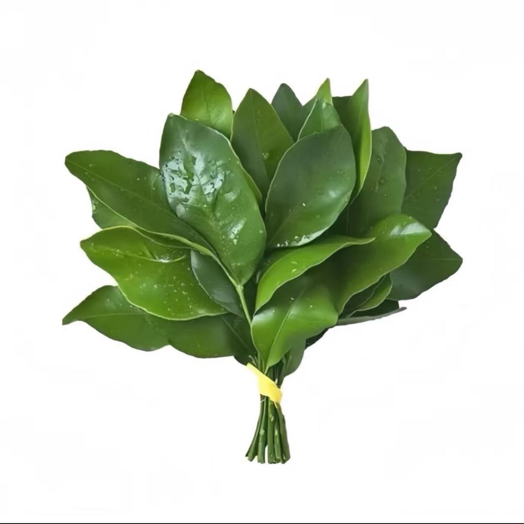 ❤️下一站   天后❤️