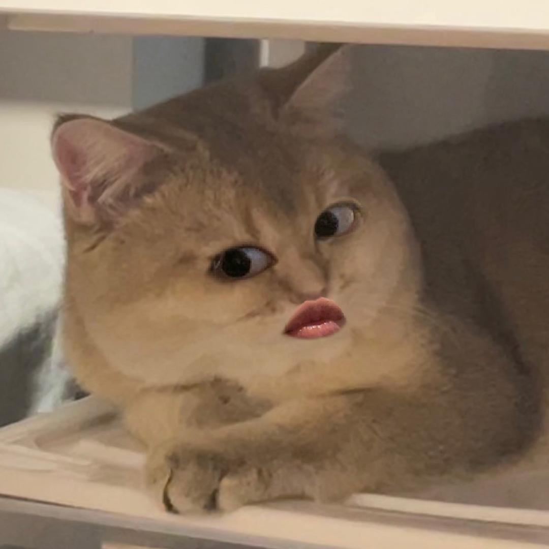 陈急撕汗