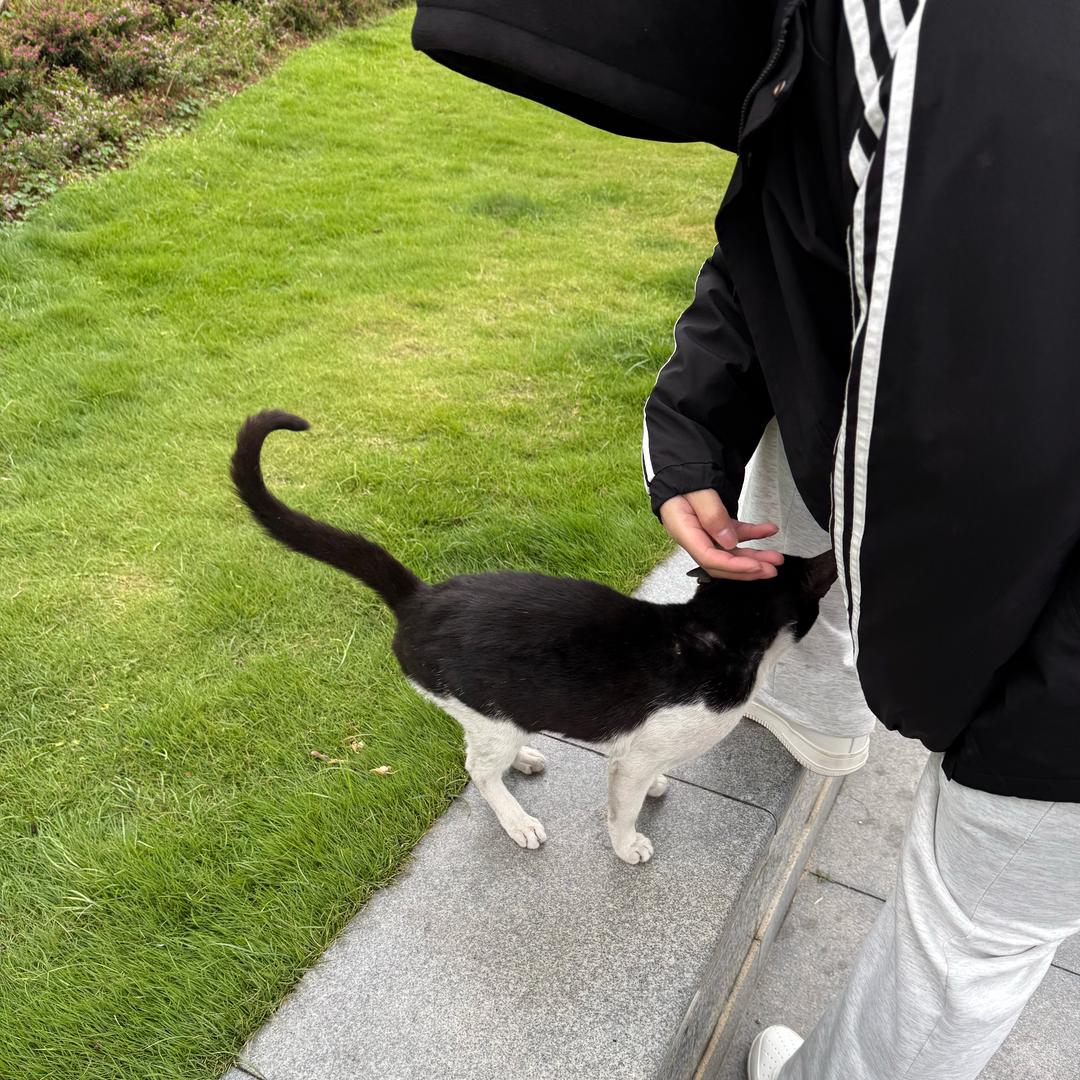 小熙吖