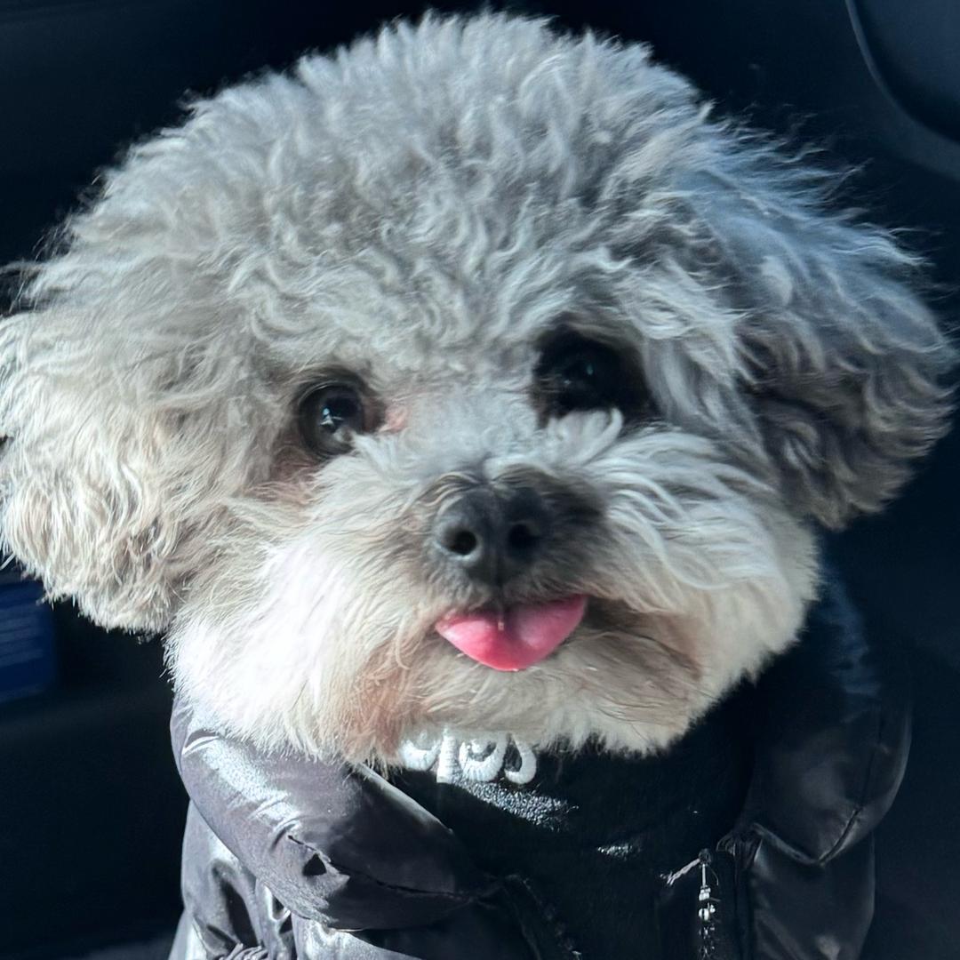 🤪