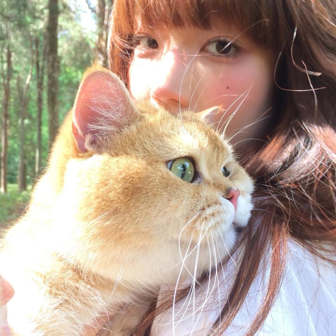 一只幸运錨鶜驁