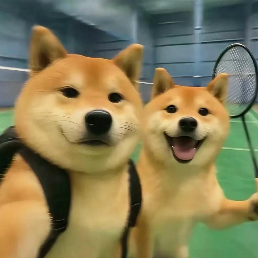 暖阳（动物大联盟）