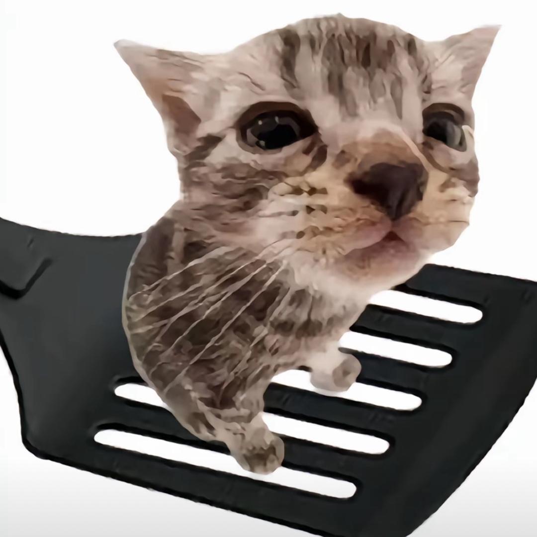 殺死一隻青鳥。