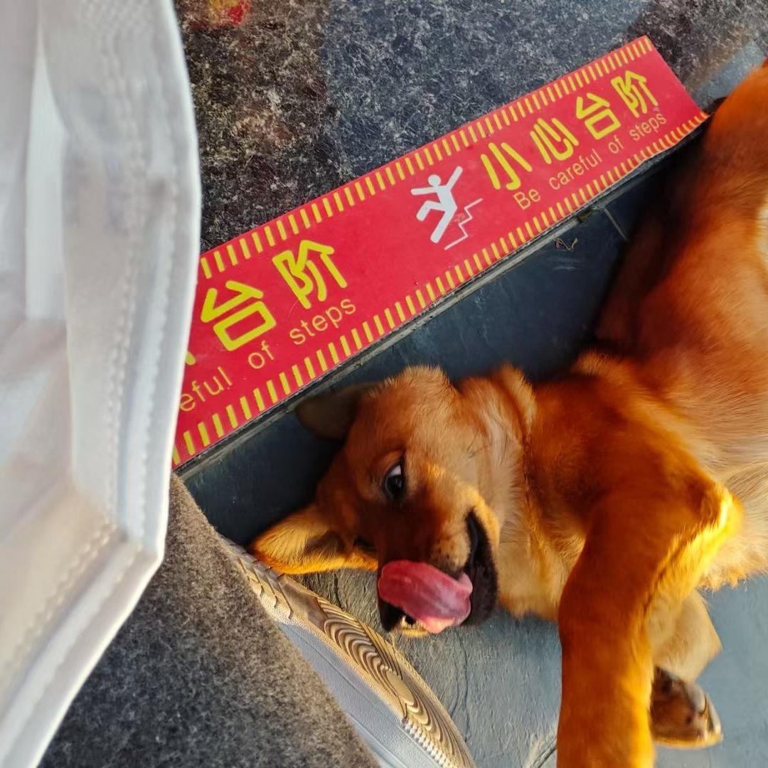 不知名的旺