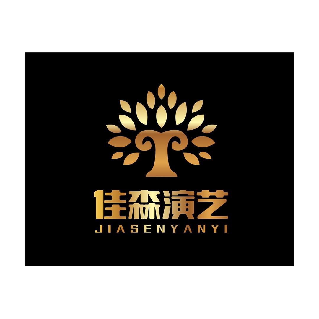 澄海佳森演艺设备