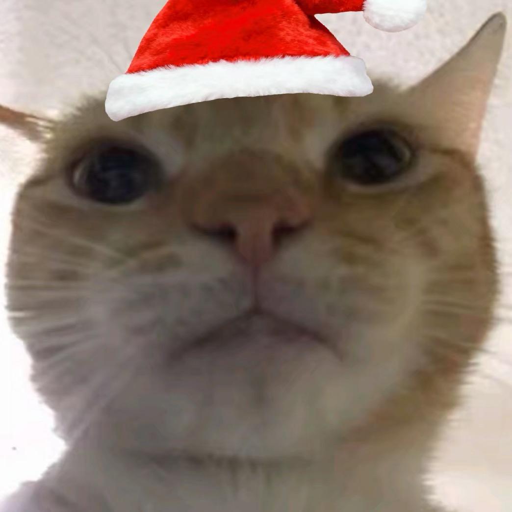 泪水打湿麦当当你却不懂我的好