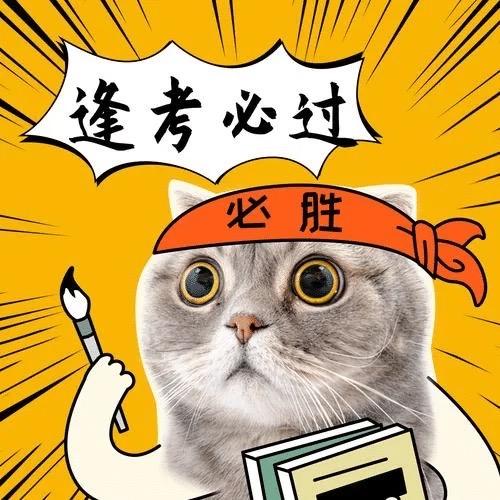 广州学车陪练-黄教练（模拟私信）