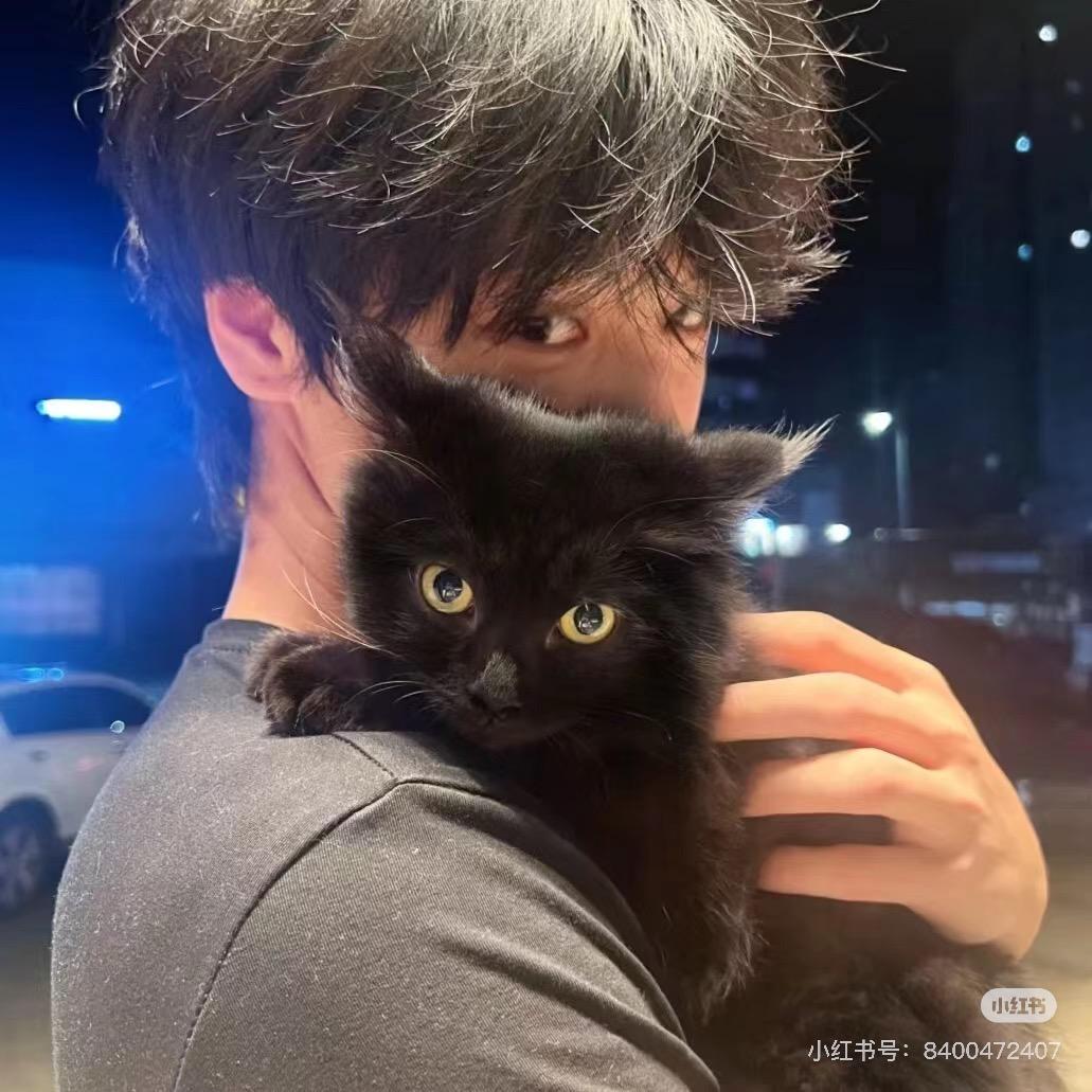 黑猫🐈‍⬛