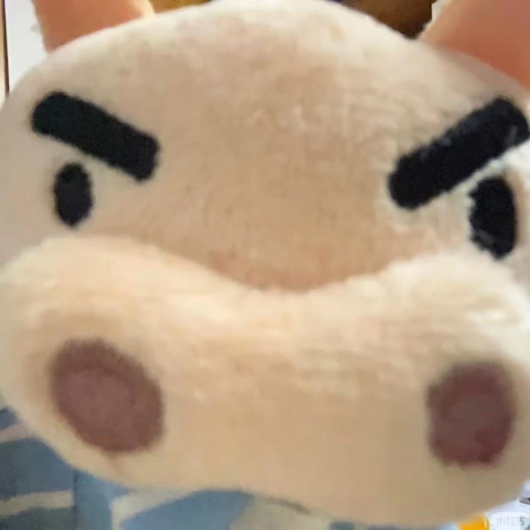 翘嘴