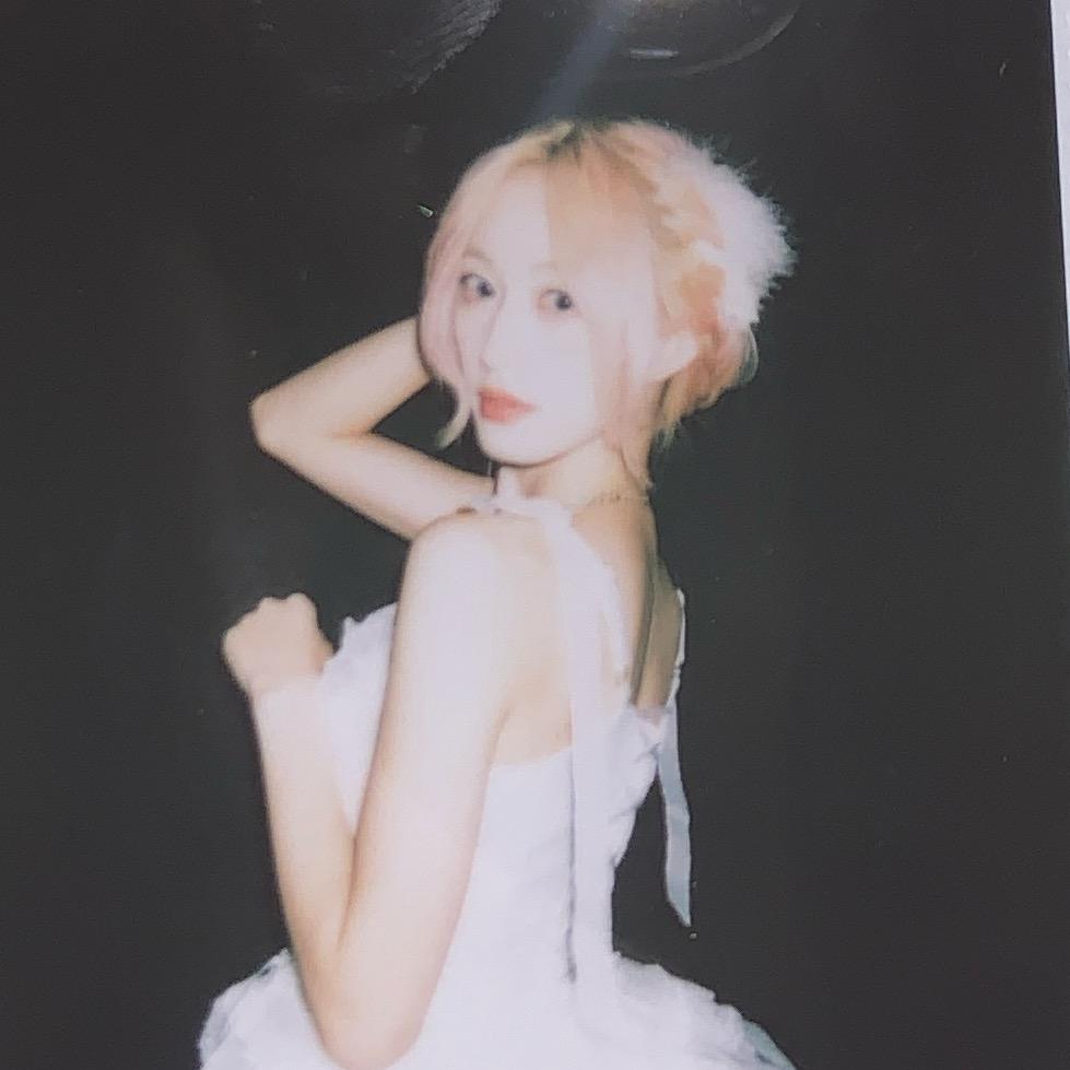 噬樱小花花