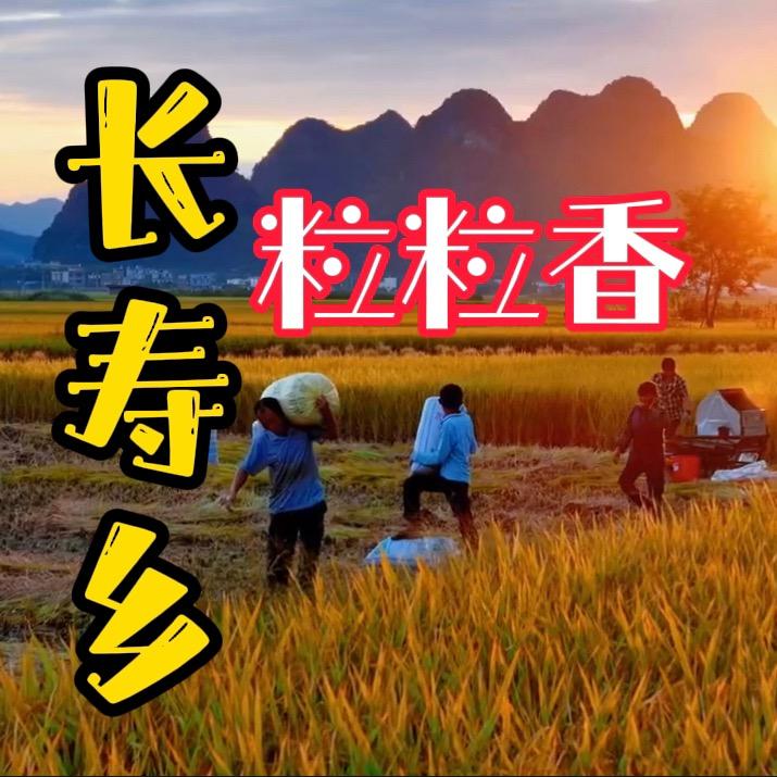 一江秋长粒香米