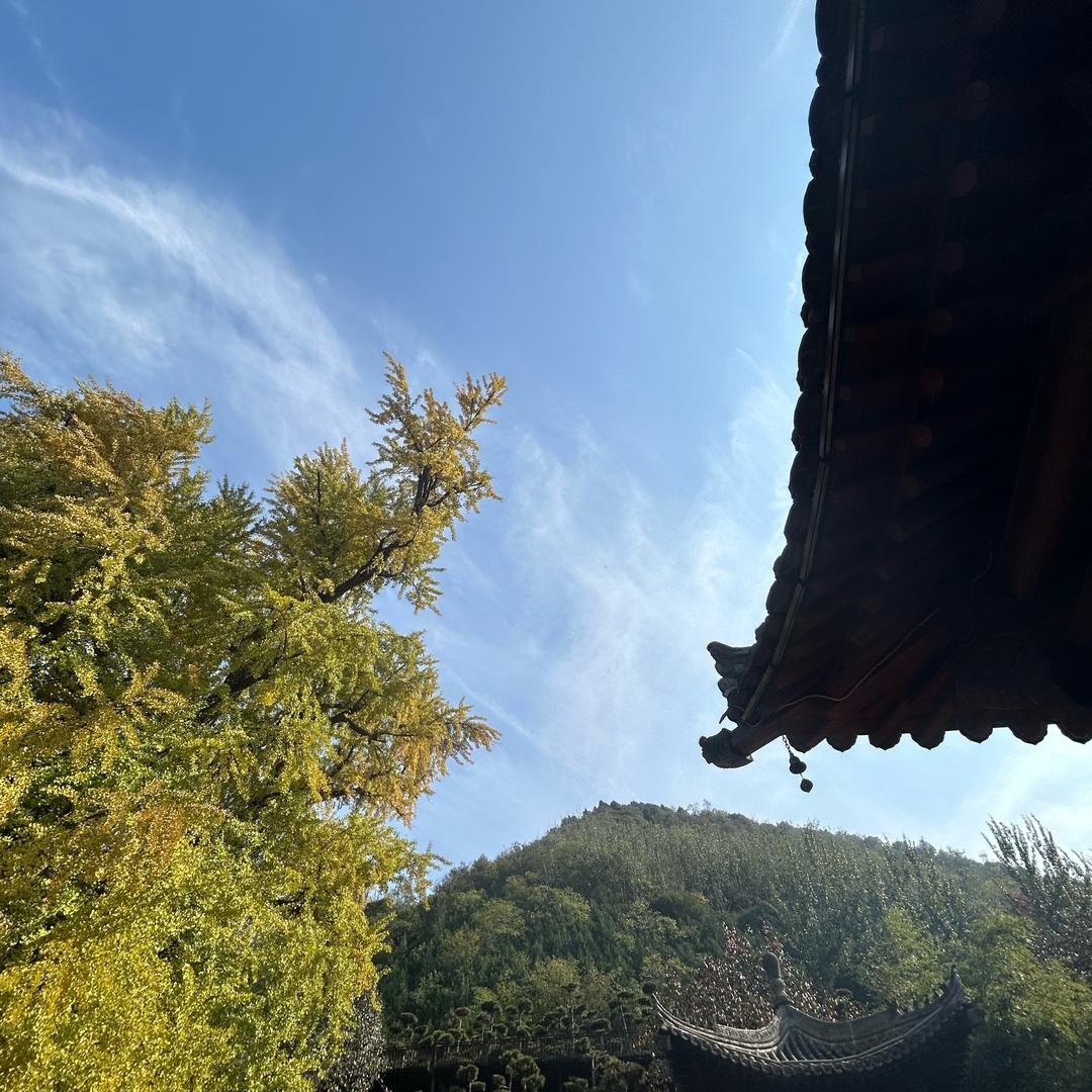 天天更剧