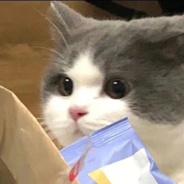 小刘