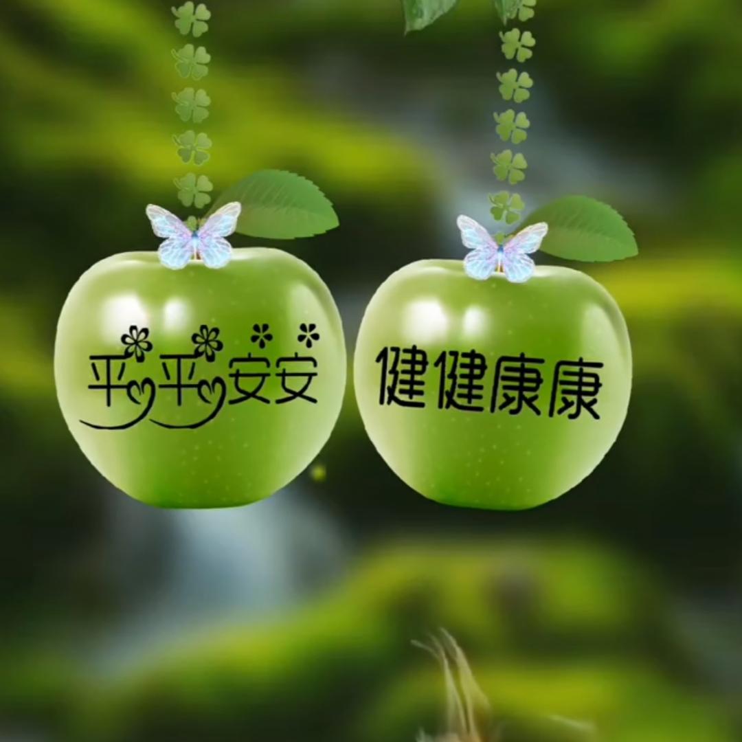 塞纳-《视频同款在橱窗》