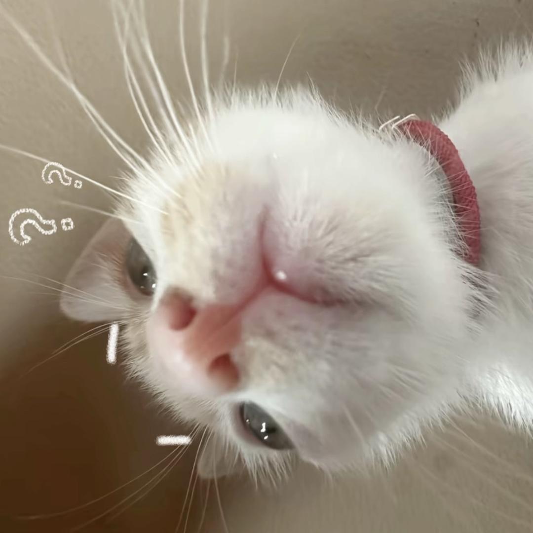 碎碎念