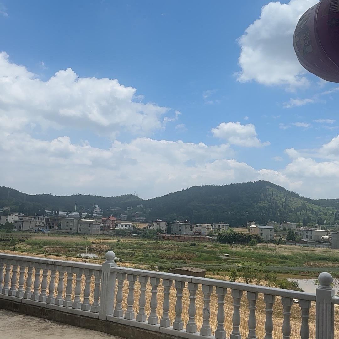 七妹巅缅山货
