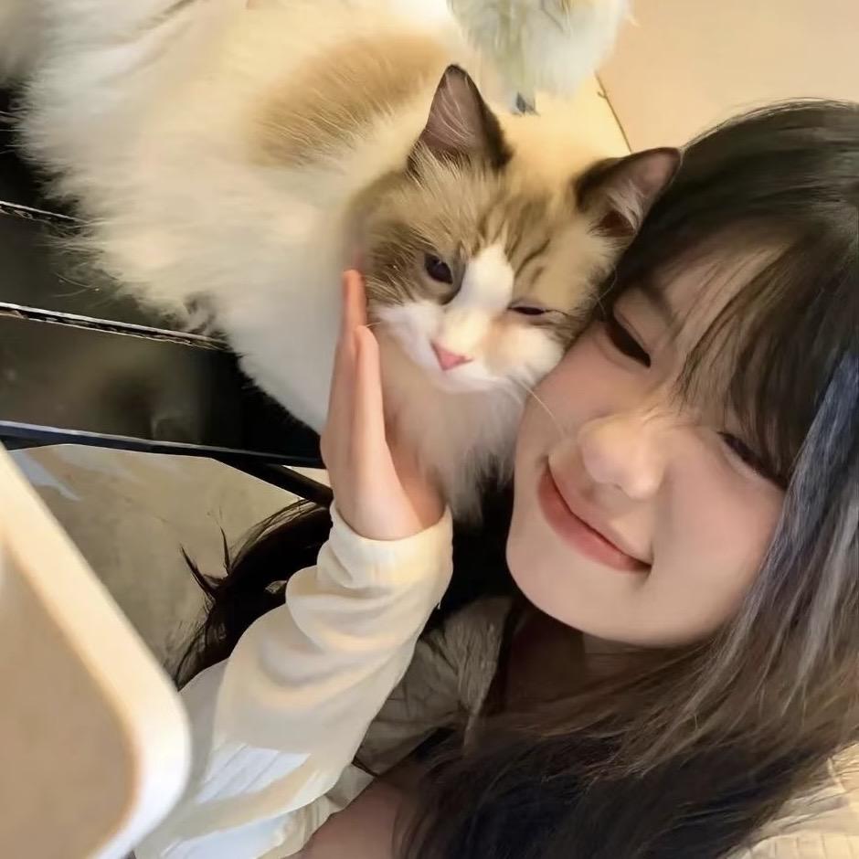 屁屁大王