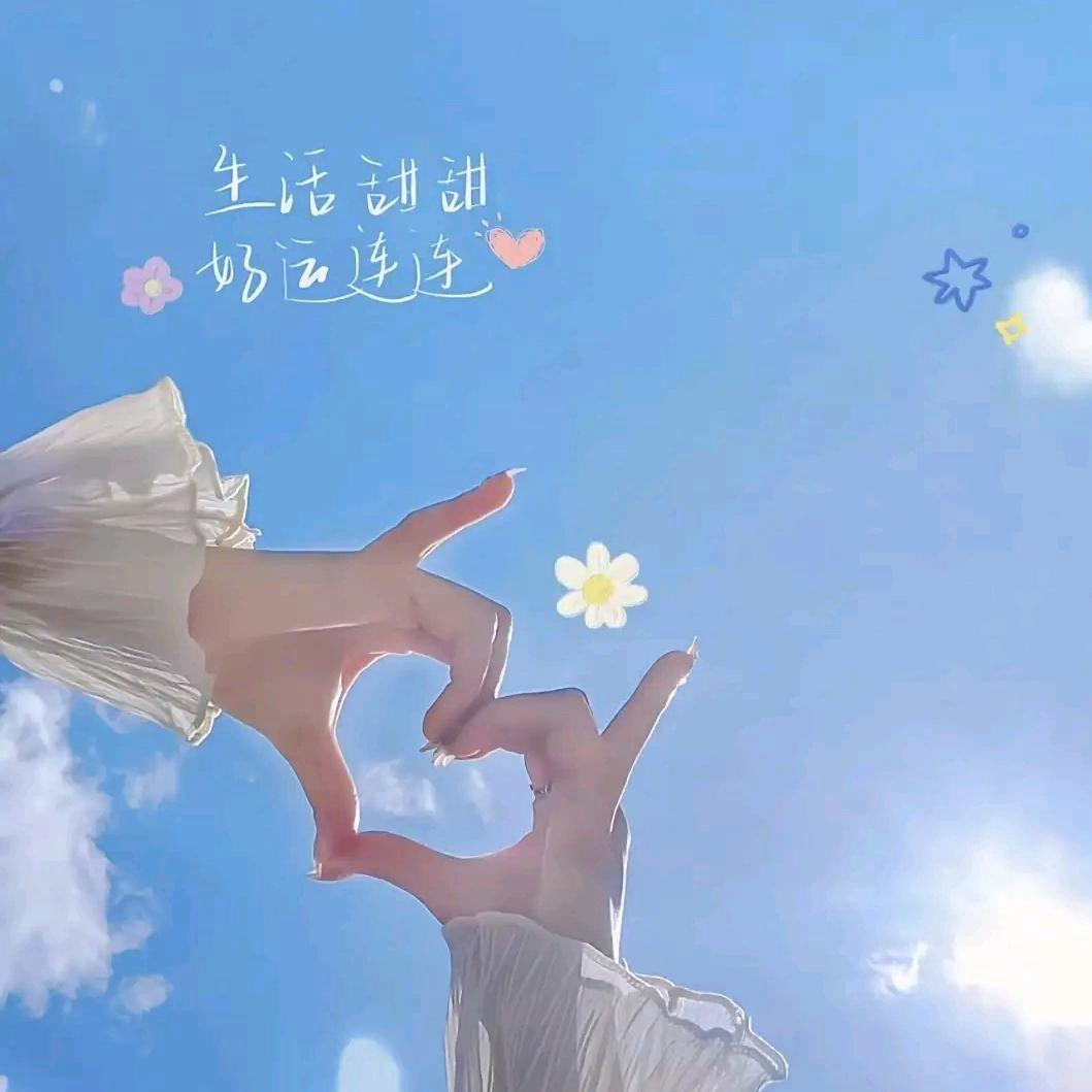 梦晨棉业夏邑南区