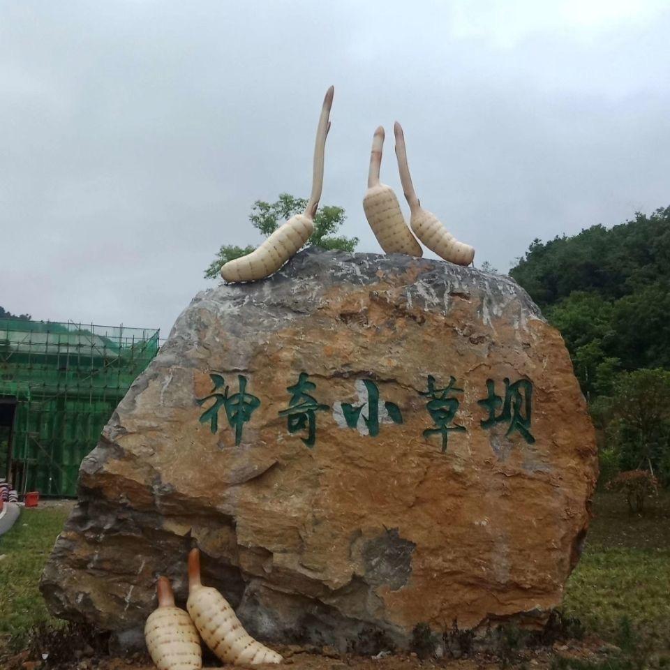 彩云里昭通天麻