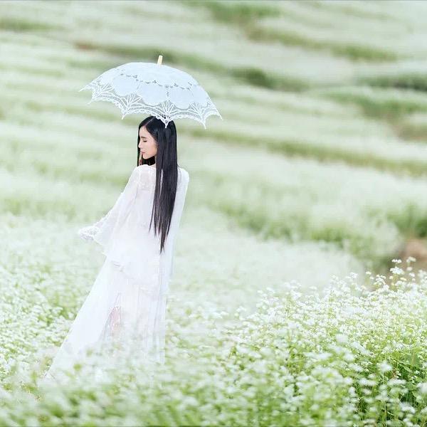 ꦿ᭄ﻬঞ幸·运꧔ꦿ໌້