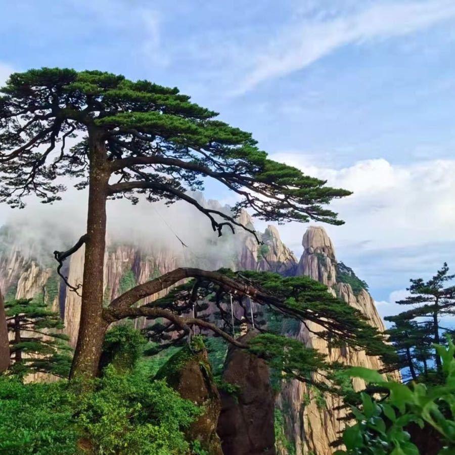 潍坊门窗阳光房凉亭（民富金属）