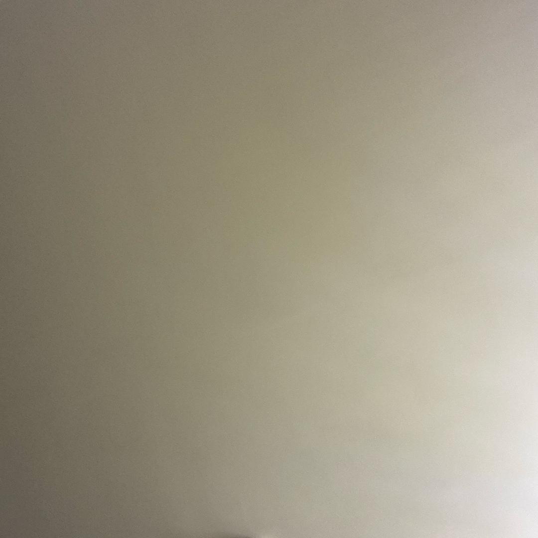 我心向阳