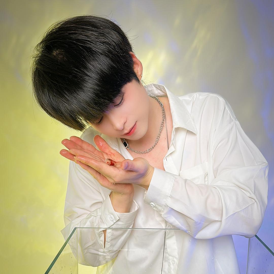 小白宝宝