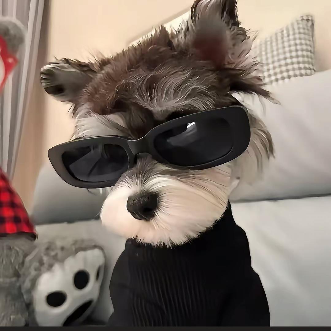 う聹聹七可爱の