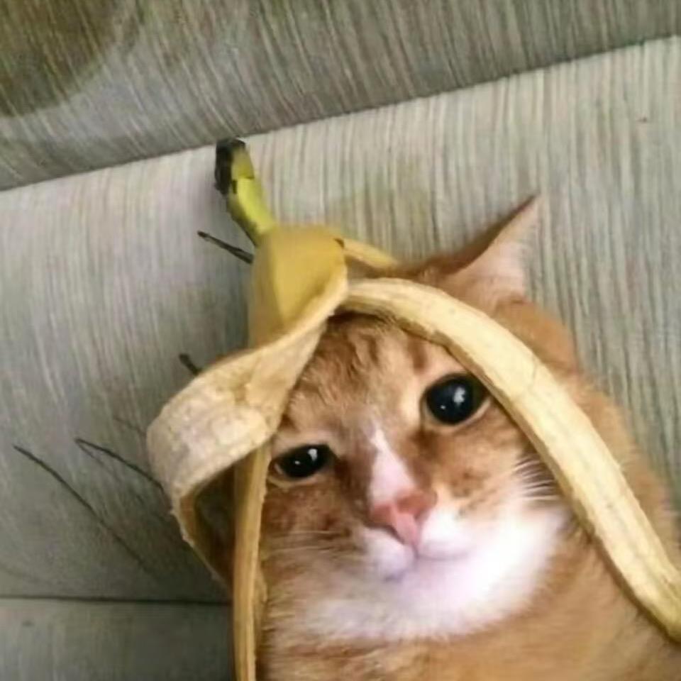 好运连连来来来