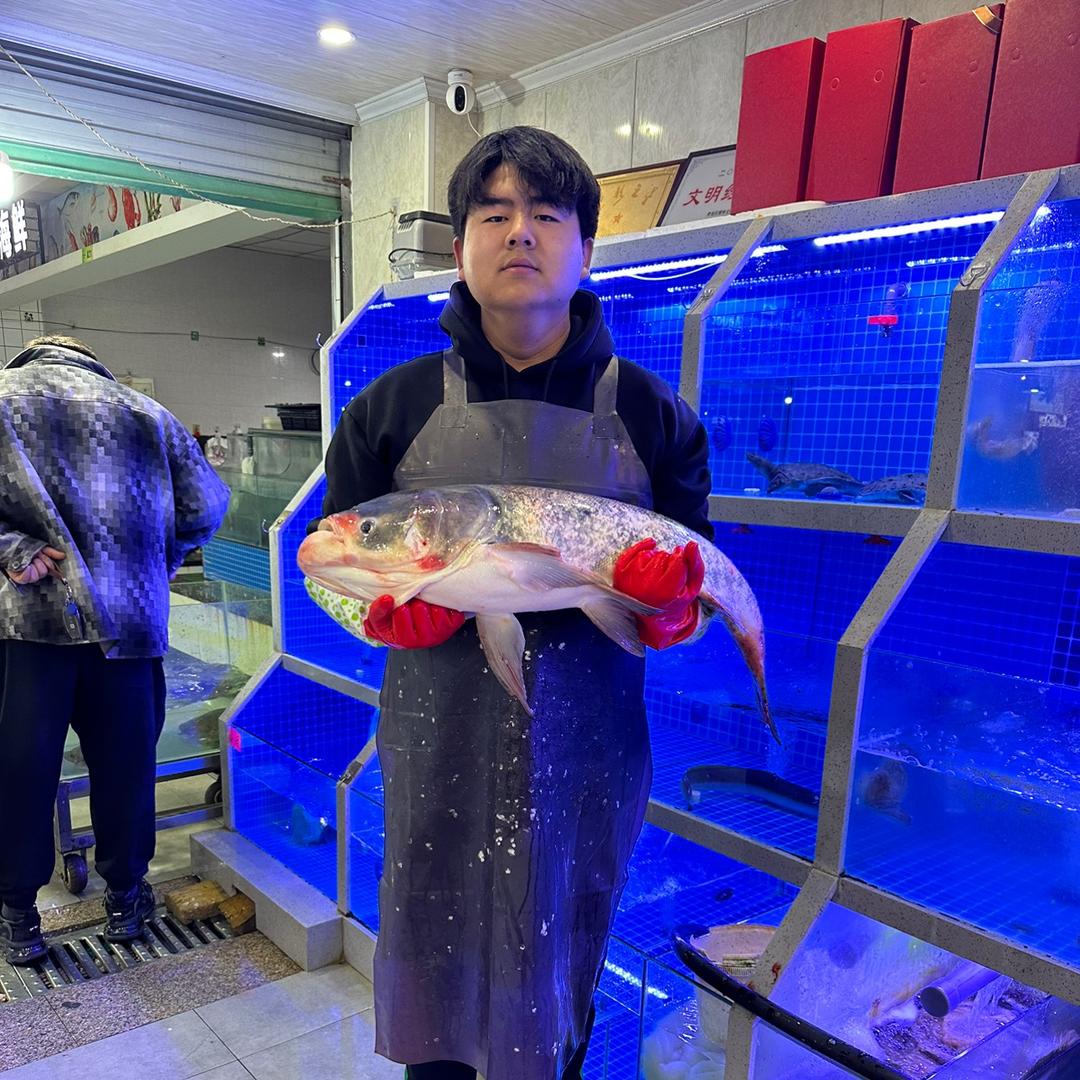阿豪鲜鱼铺