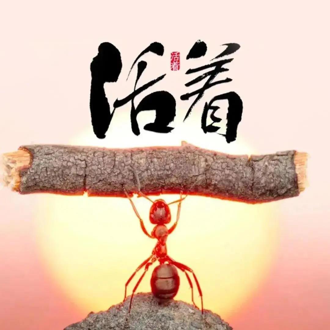 暂未设置