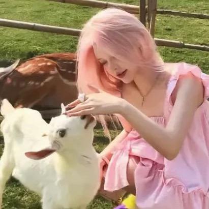 糖果超甜˘ᜊ˘ ᶻᶻᶻ