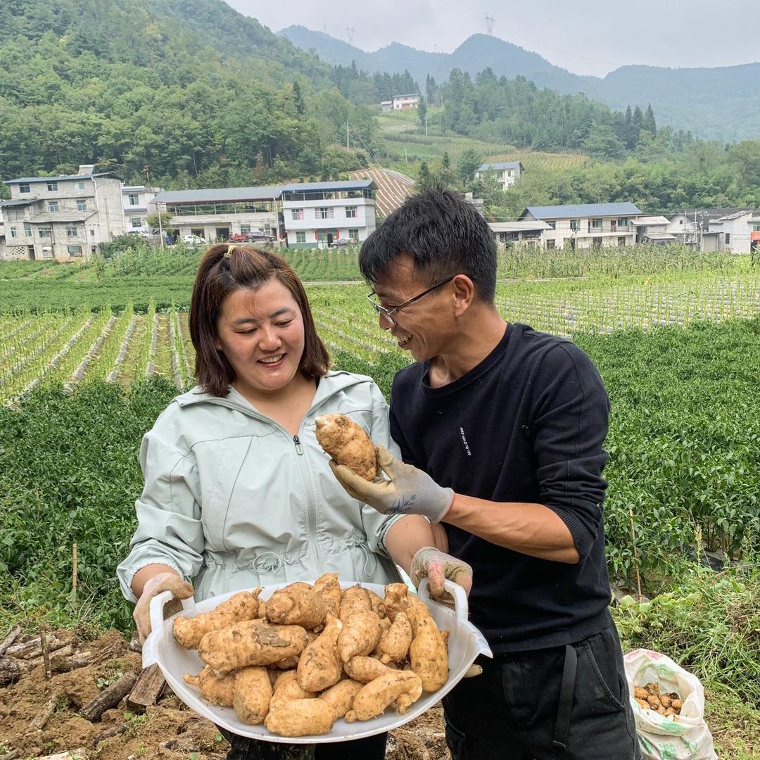 张周清滋补旗舰店