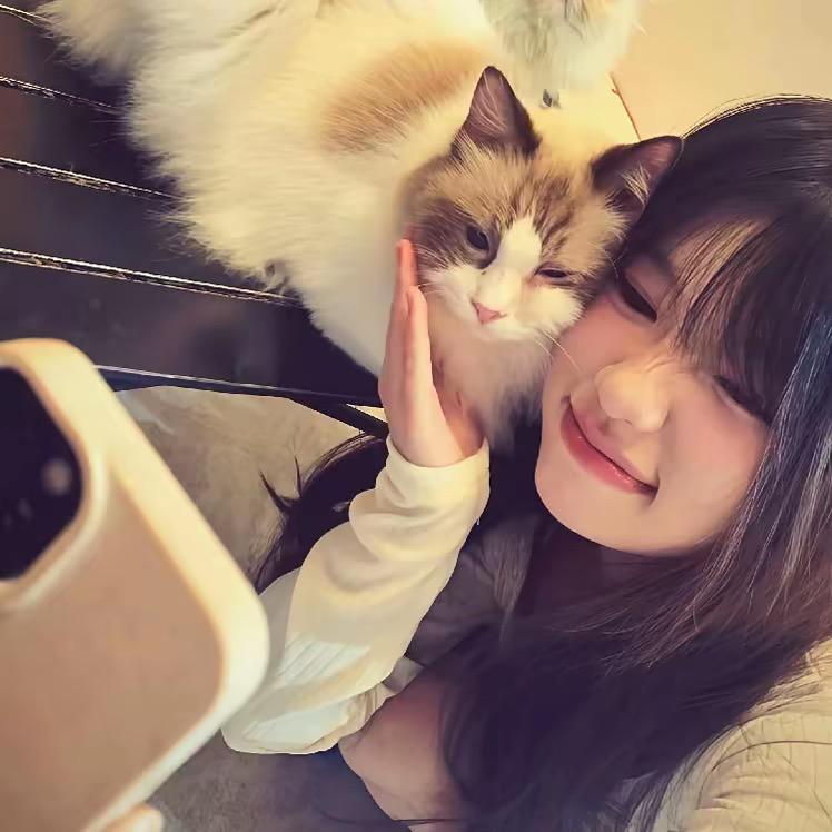 香蕉猫🐱