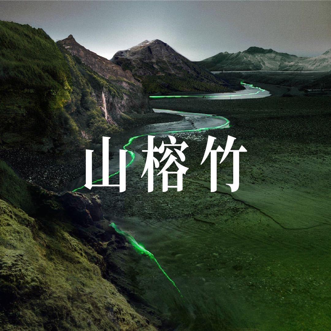 山榕竹（达人大课版）